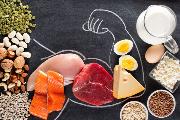What Is Protein And Why Is It Important For Teens