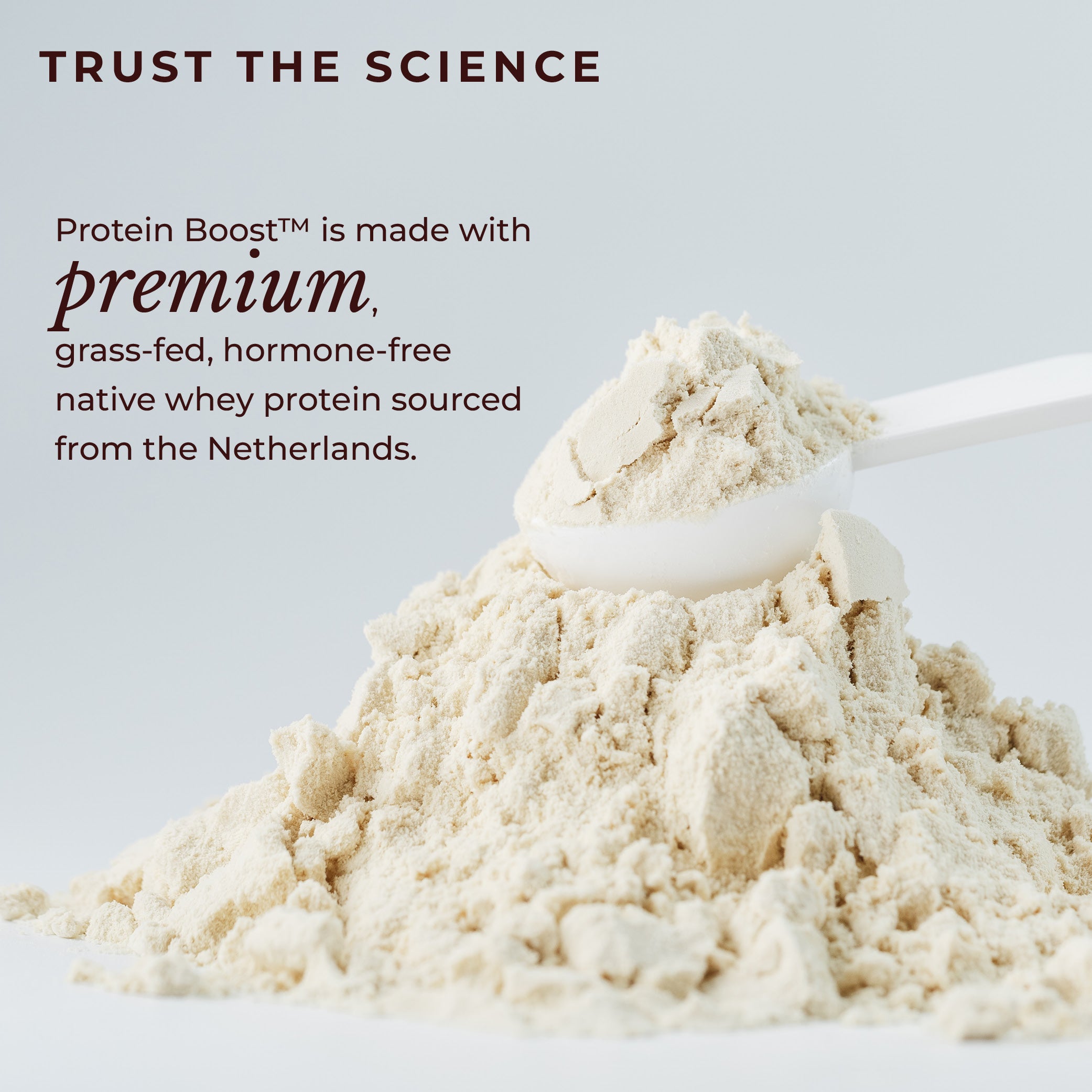 Protein Boost™