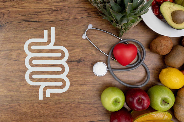 Top 5 Reasons Why Gut Health is Important